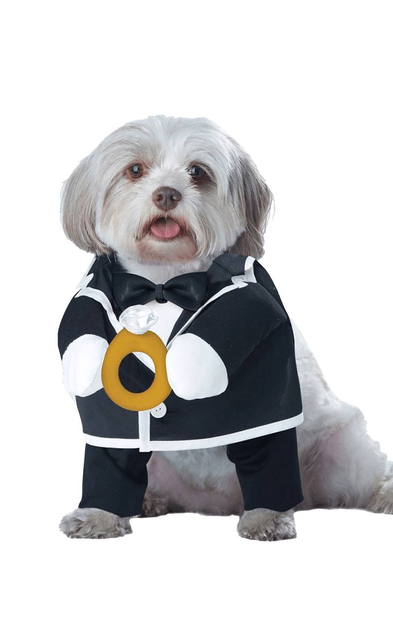 Puppy Groom Dog Costume Angels Fancy Dress Warehouse