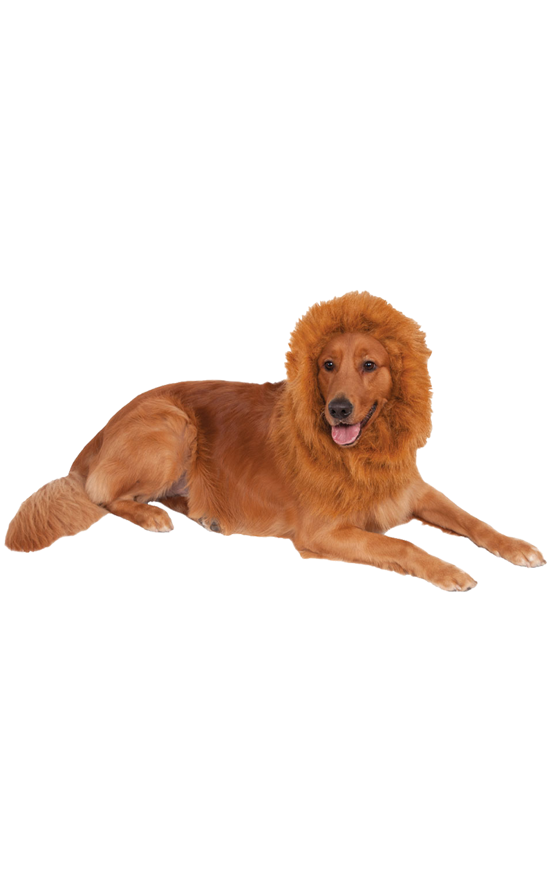 Deluxe Lion Mane
